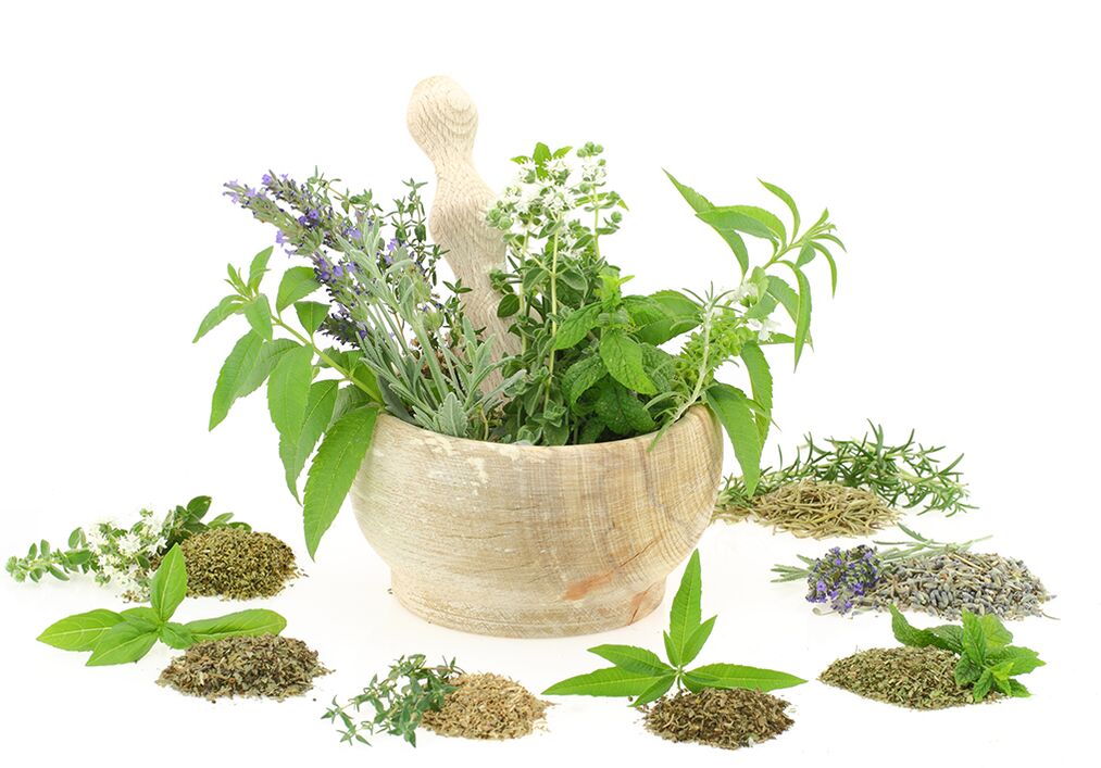 Estratti vegetali nella composizione del prodotto
