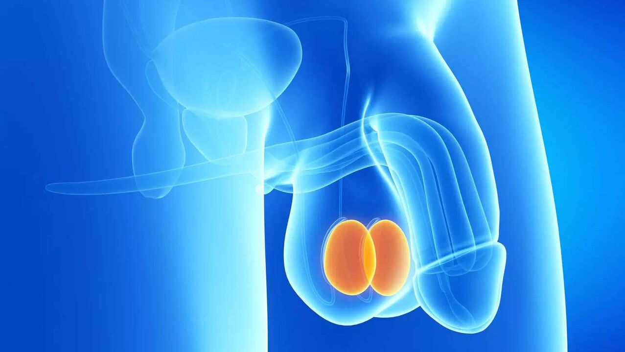 Costo dell'intervento chirurgico per l'ingrandimento del pene