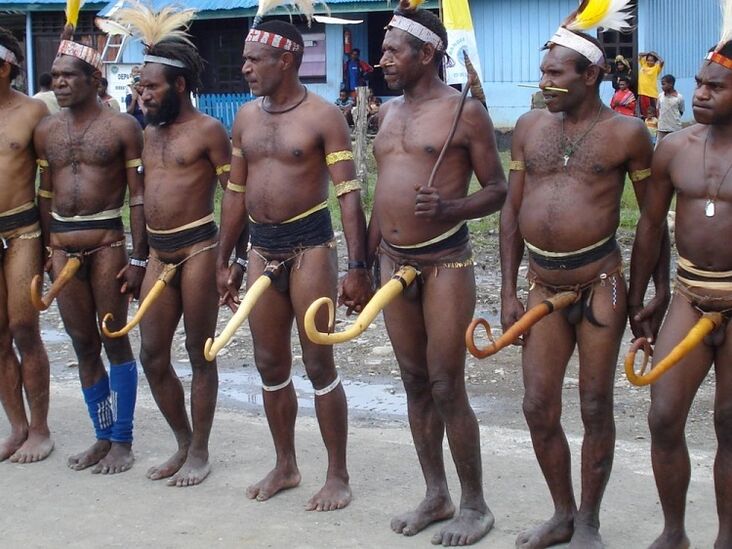 Papuani con pene ingrossato